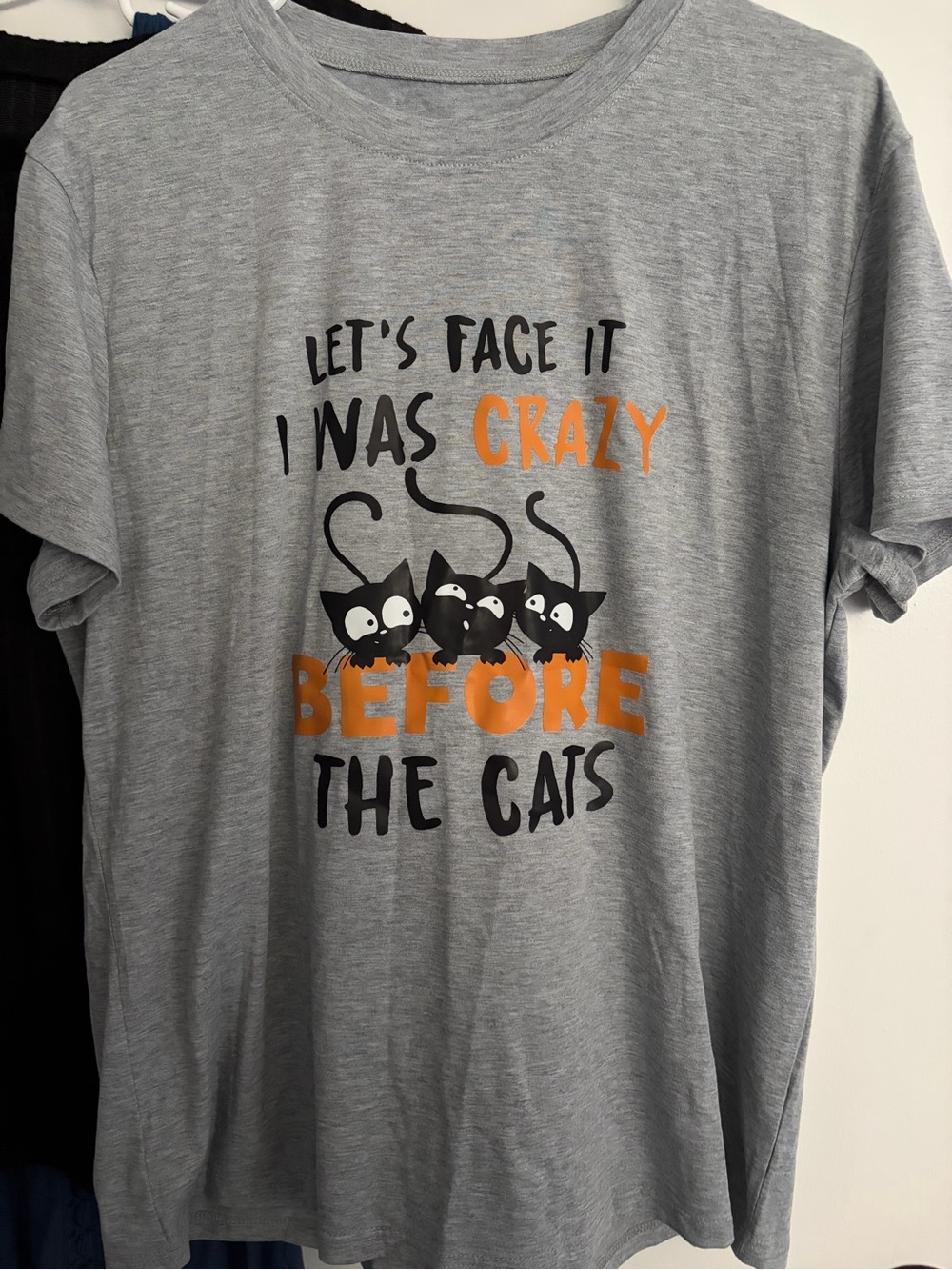 Gray Cat Graphic T-Shirt - 'Crazy Before The Cats'